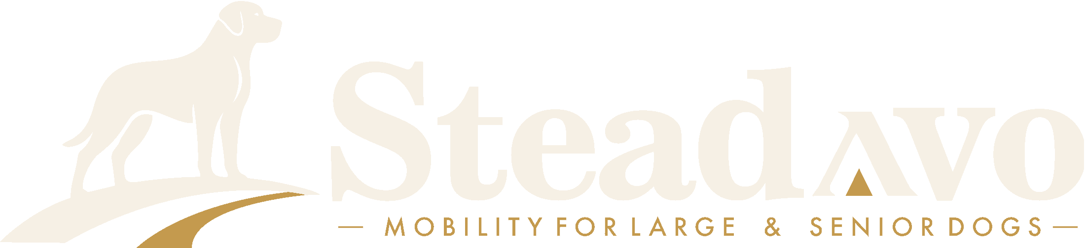 Steadavo
