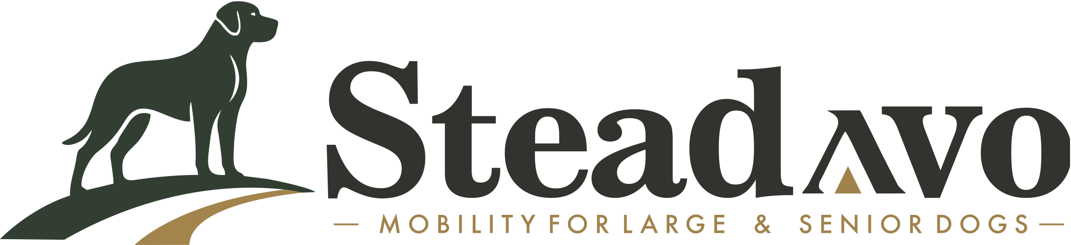 Steadavo