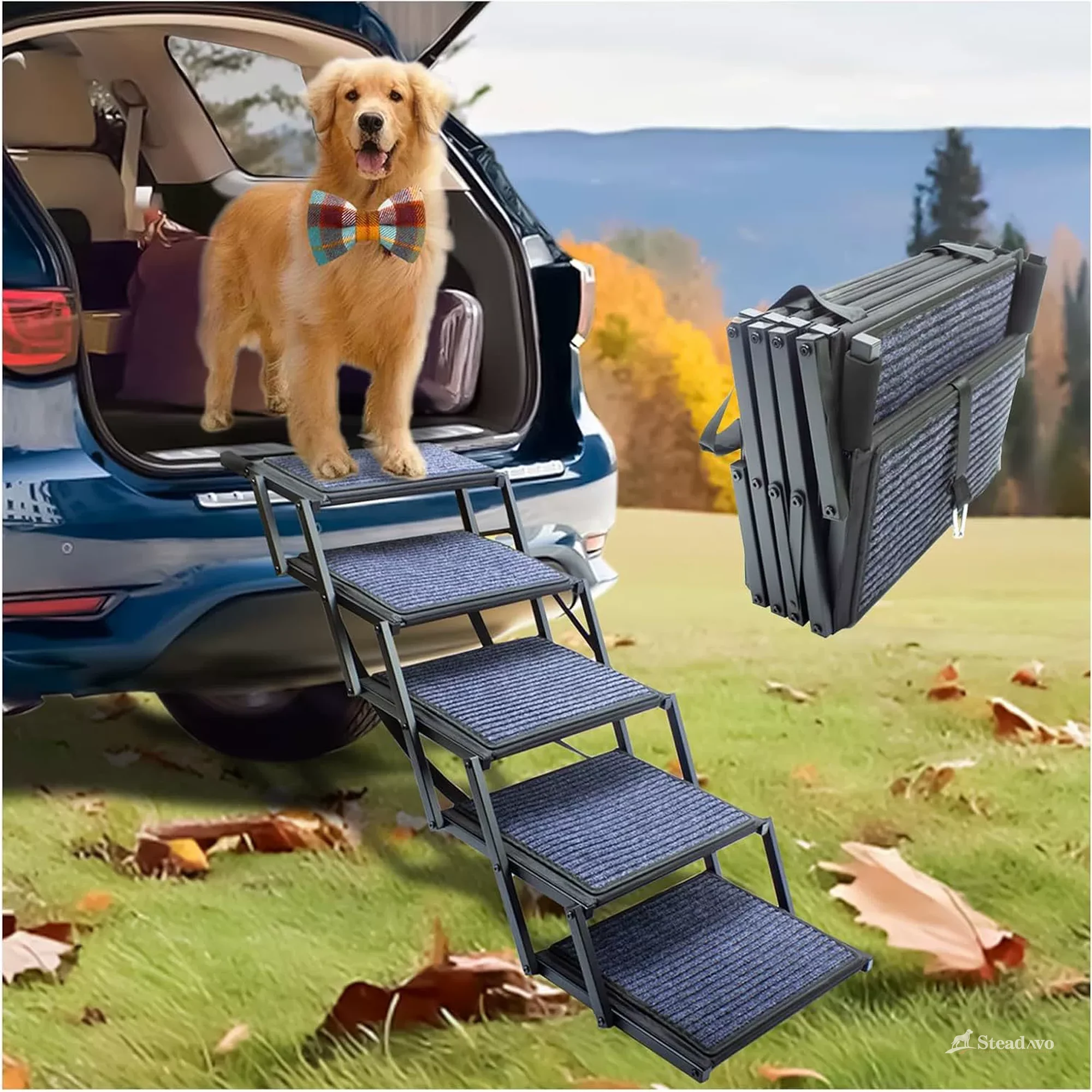 Five-step folding dog stairs positioned at an SUV for supervised access