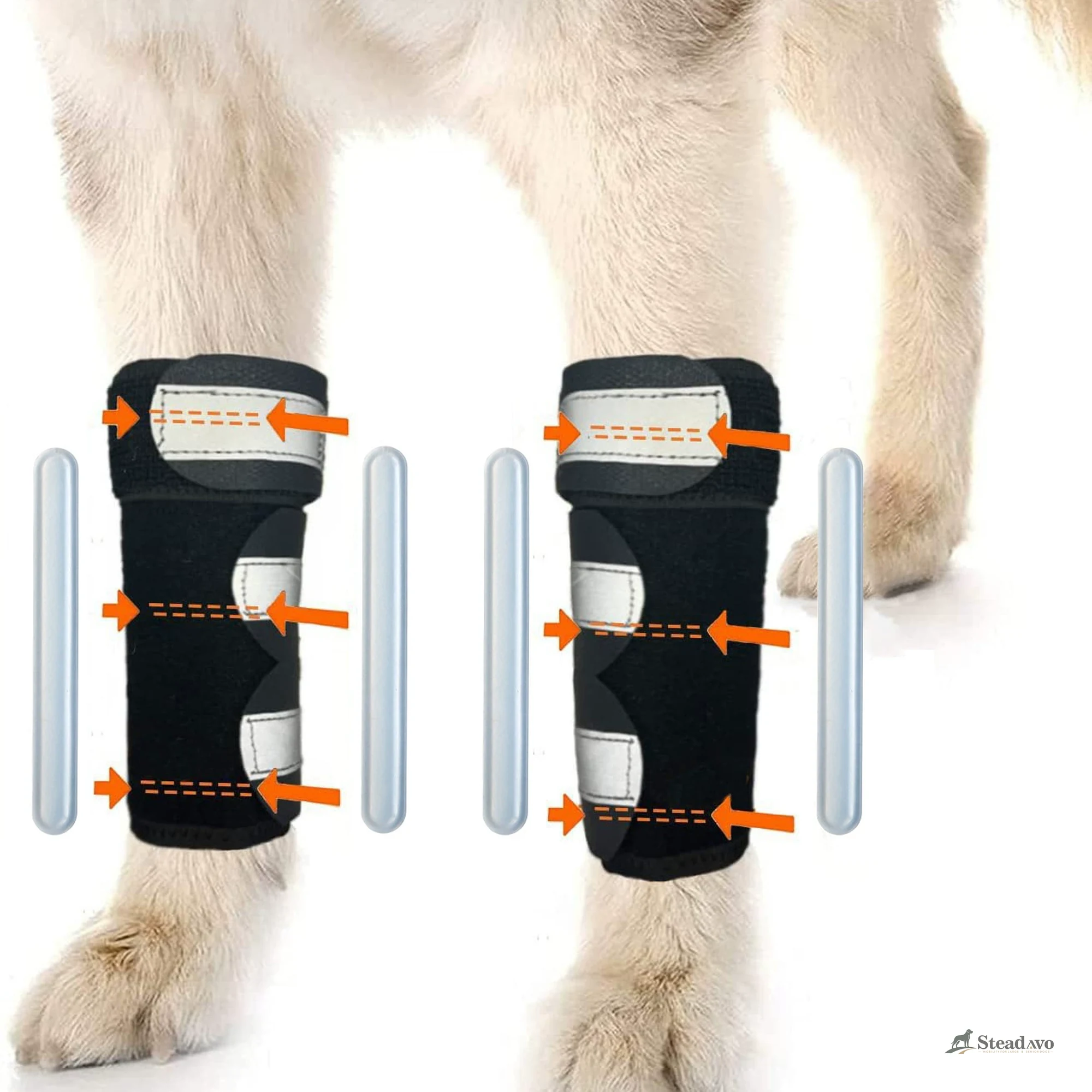 Reflective dog leg support wraps fitted on a standing dog during supervised indoor use