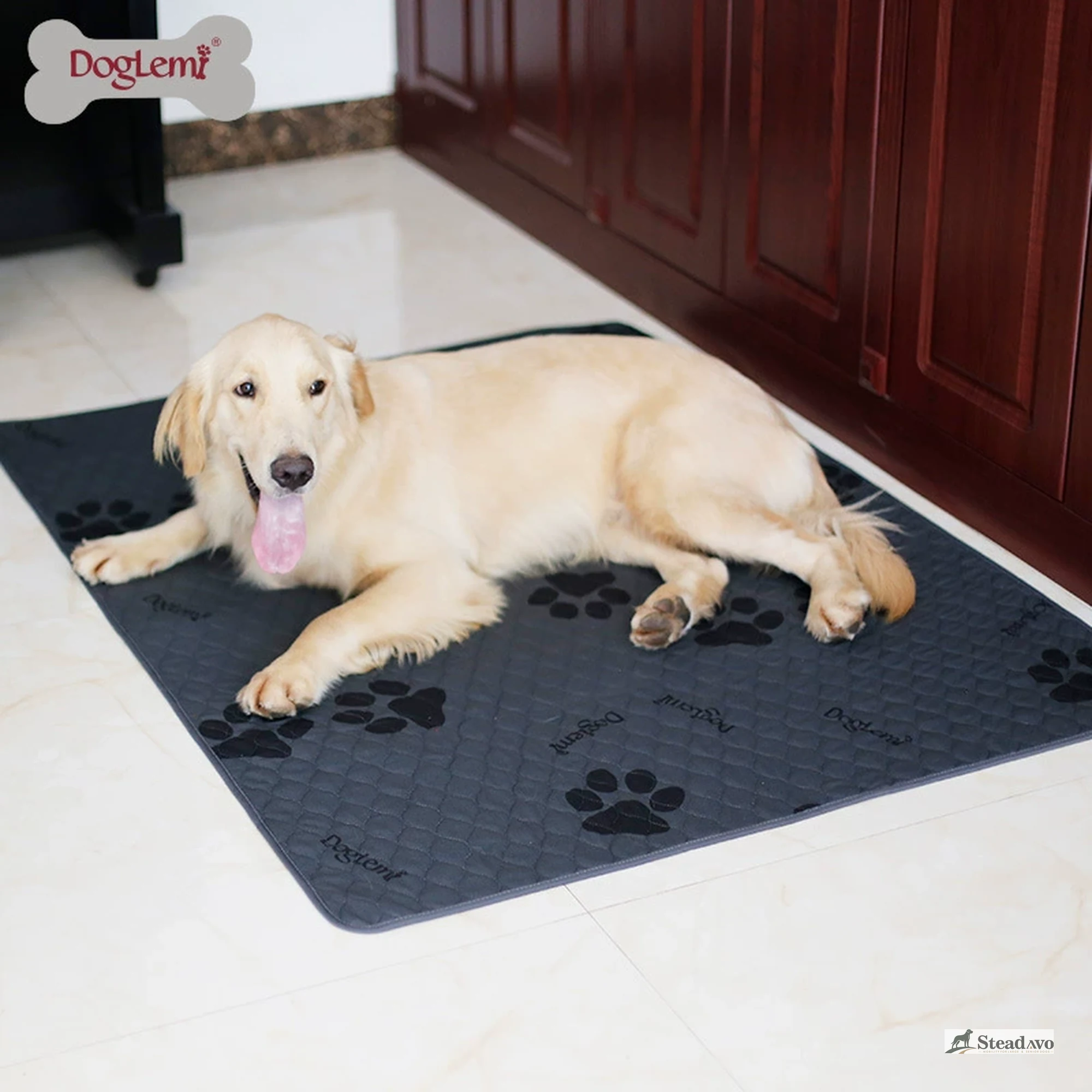 Washable dog training pad placed by an interior doorway with a large dog resting nearby