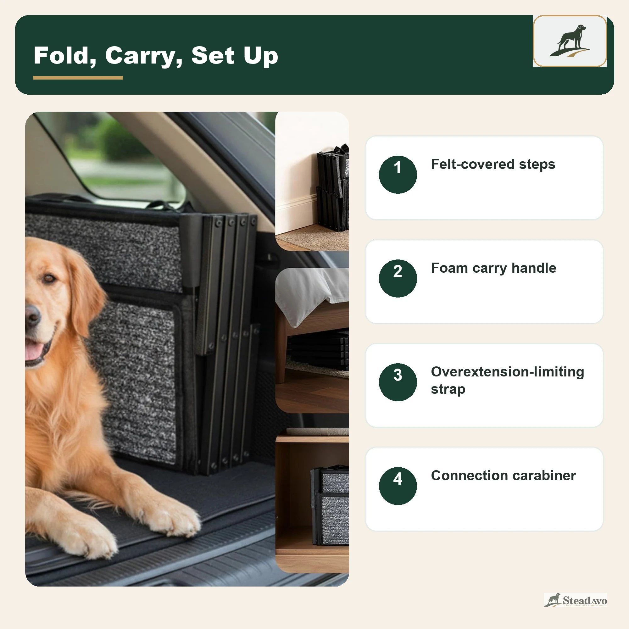 Foldable vehicle dog stairs structure and connection point overview