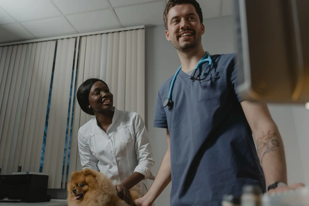 owner and dog using a careful dog body condition score process