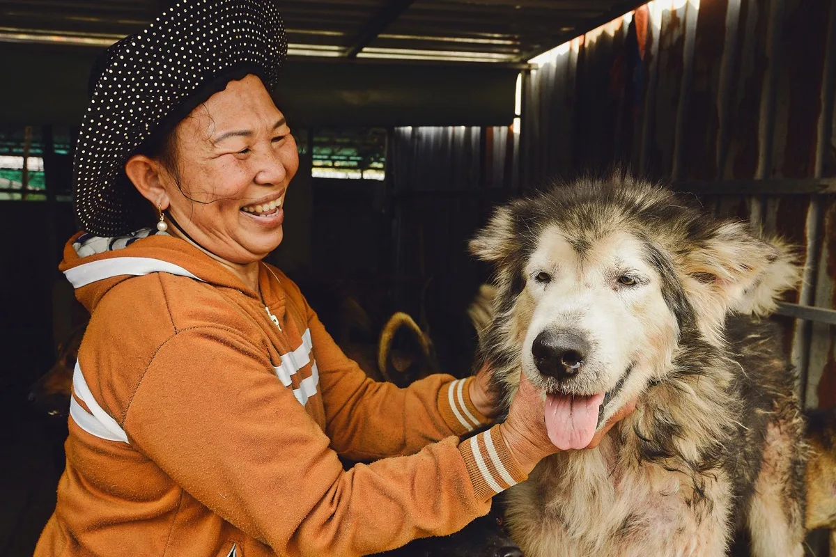 owner and dog using a careful large dog crate size guide process