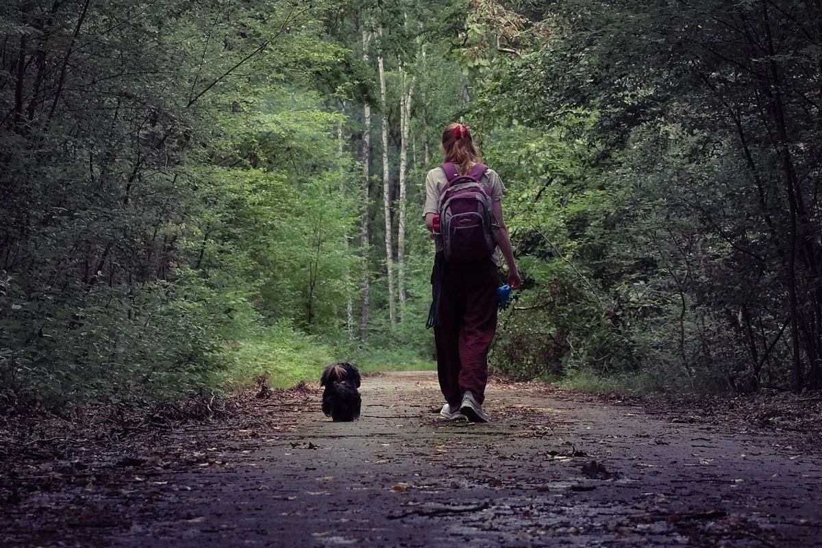 owner and dog using a careful dog foxtail check process